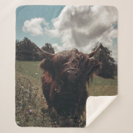 Zwarte hoogland Schotse koe grazend  retro Sherpa Deken
