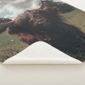 Zwarte hoogland Schotse koe grazend  retro Sherpa Deken (3/4)