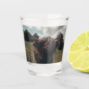 Zwarte hoogland Schotse koe grazend retro Shot Glas