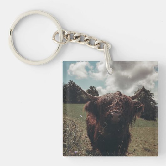 Zwarte hoogland Schotse koe grazend retro Sleutelhanger (Voorkant)