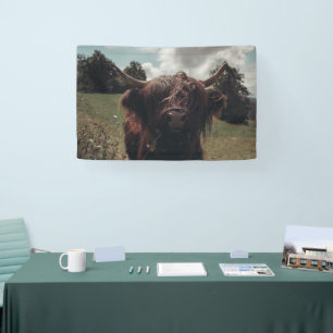 Zwarte hoogland Schotse koe grazend retro Spandoek
