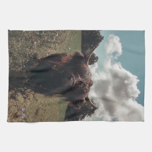 Zwarte hoogland Schotse koe grazend  retro Theedoek (Horizontaal)