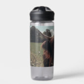 Zwarte hoogland Schotse koe grazend  retro Waterfles (Voorkant)