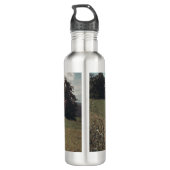 Zwarte hoogland Schotse koe grazend retro Waterfles (Achterkant)