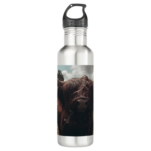 Zwarte hoogland Schotse koe grazend retro Waterfles (Voorkant)