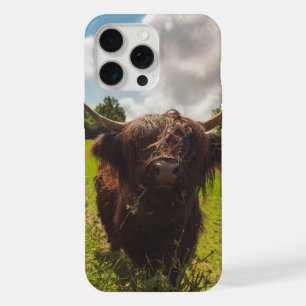 Zwarte hooglandkoe graast op groen veld in zonlich iPhone 15 pro max case