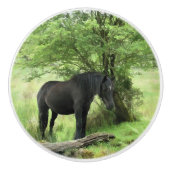 ZWARTE HORSE KERAMISCHE KNOP (Voorkant)