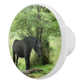 ZWARTE HORSE KERAMISCHE KNOP (Rechts)