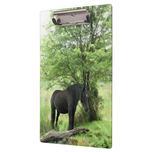 ZWARTE HORSE KLEMBORD (Links)