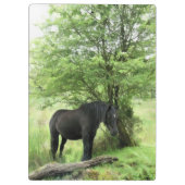 ZWARTE HORSE KLEMBORD (Achterkant)