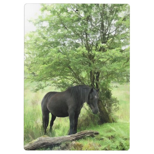 ZWARTE HORSE KLEMBORD (Achterkant)