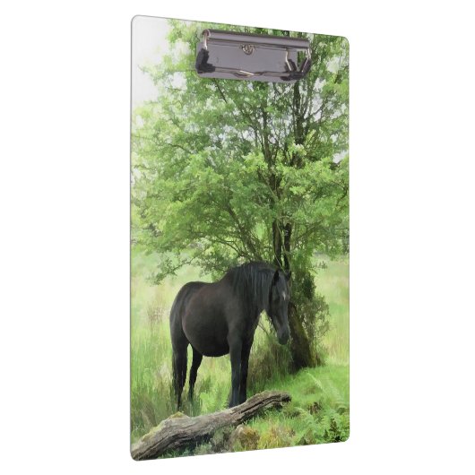 ZWARTE HORSE KLEMBORD (Rechts)