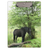 ZWARTE HORSE KLEMBORD (Voorkant)