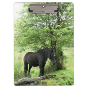 ZWARTE HORSE KLEMBORD
