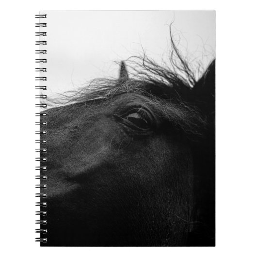 ZWARTE HORSE NOTITIEBOEK (Voorkant)