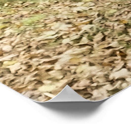 ZWARTE HORSE POSTER (Hoek)