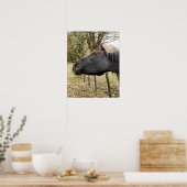 ZWARTE HORSE POSTER (Keuken)