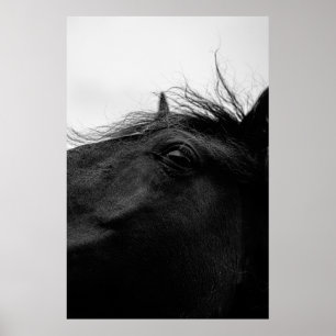 ZWARTE HORSE POSTER