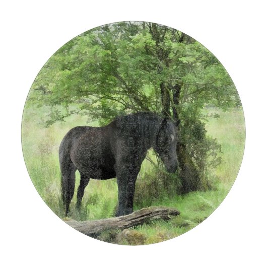 ZWARTE HORSE SNIJPLANK (Voorkant)