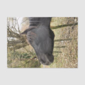 ZWARTE HORSE TISSUEPAPIER (Voorkant)