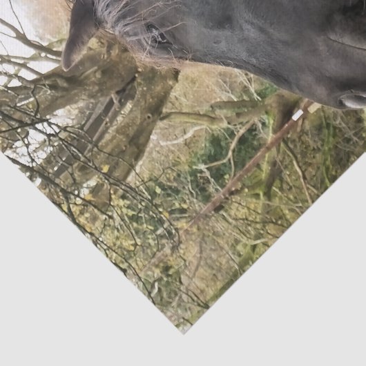 ZWARTE HORSE TISSUEPAPIER (Detail)