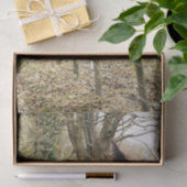 ZWARTE HORSE TISSUEPAPIER (Geschenk)