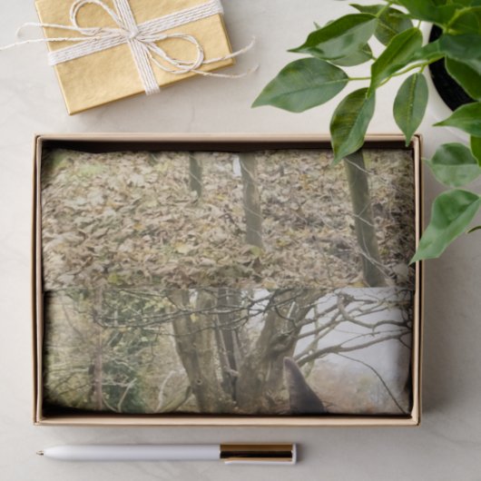 ZWARTE HORSE TISSUEPAPIER (Geschenk)