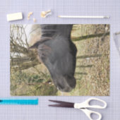 ZWARTE HORSE TISSUEPAPIER (Craft)