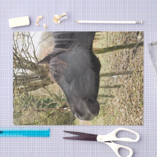 ZWARTE HORSE TISSUEPAPIER (Craft)