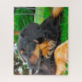 Zwarte Hovawart hond. Legpuzzel (Verticaal)