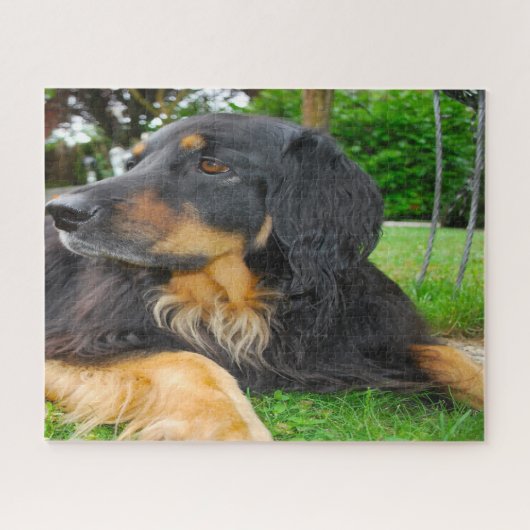 Zwarte Hovawart hond. Legpuzzel (Horizontaal)
