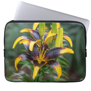 Zwarte hybride Aziatische lelie, donkere bloei Fot Laptop Sleeve