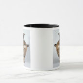 Zwarte hydria mok (Midden)