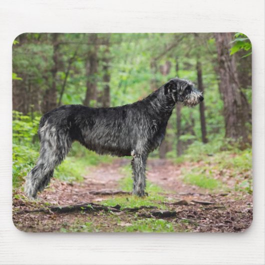 Zwarte Ierse Wolfhound Posing in een bos Muismat (Voorkant)