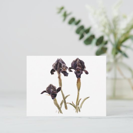 zwarte iris uit Jordanië Briefkaart (Staand voorkant)