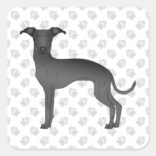 Zwarte Italiaanse Greyhound Lieve Cartoonhond Met Vierkante Sticker