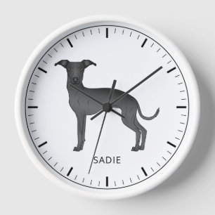 Zwarte Italiaanse Greyhound Mopshond Met Aangepast