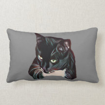 Zwarte Jack-kat