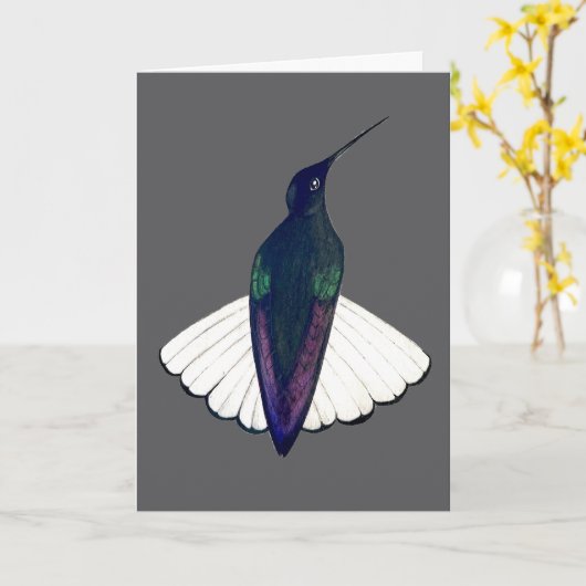 Zwarte Jacobijn Kolibrie Kaart (Gele Bloem)