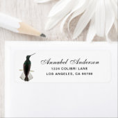 Zwarte Jacobin kolibrie Etiket (Insitu)