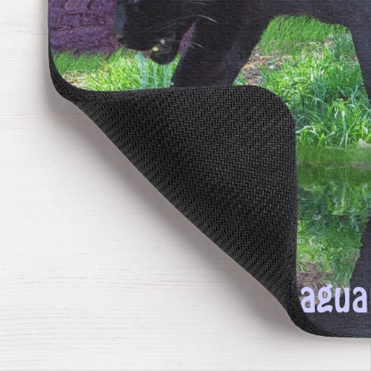 Zwarte Jaguar & Chichen Itza Tempel & Maansverduis Muismat (Hoek)