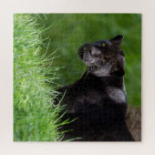 Zwarte Jaguar Die het Licht Bezit Legpuzzel (Horizontaal)