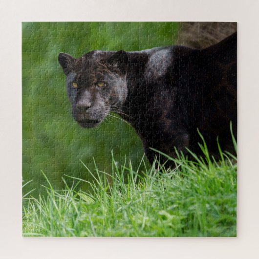 Zwarte Jaguar Die het Licht Bezit Legpuzzel (Verticaal)