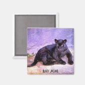 Zwarte Jaguar, magneet (Voorkant / Achterkant)