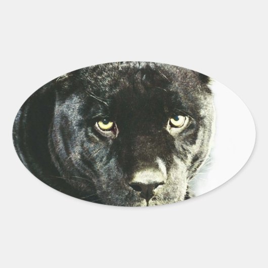 Zwarte Jaguar Panther Ogen Ovale Stickers (Voorkant)