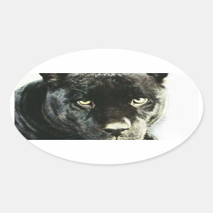 Zwarte Jaguar Panther Ogen Ovale Stickers