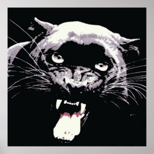 Zwarte Jaguar Panther Poster
