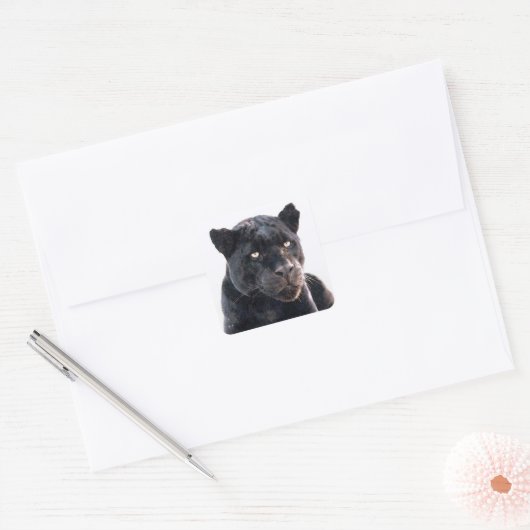Zwarte Jaguar vierkante Stickers (Envelop)