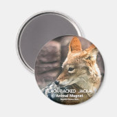 Zwarte jas magneet (Voorkant / Achterkant)