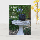 Zwarte Kaart 2 van de Verjaardag van de Kat (Gele Bloem)